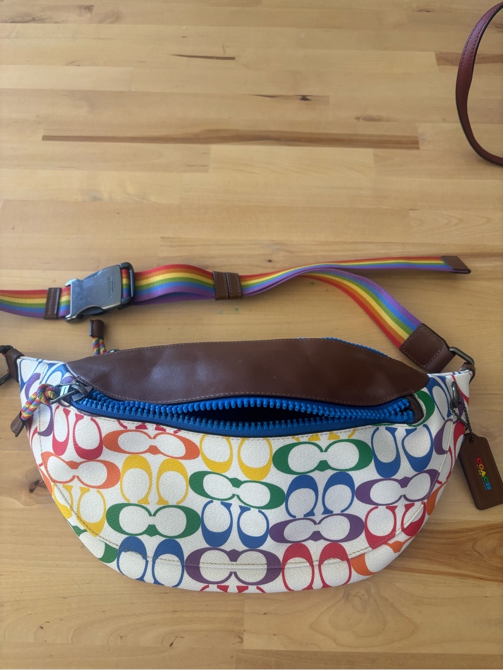 Coach Brown Leather Interior Patch with Rainbow Logo